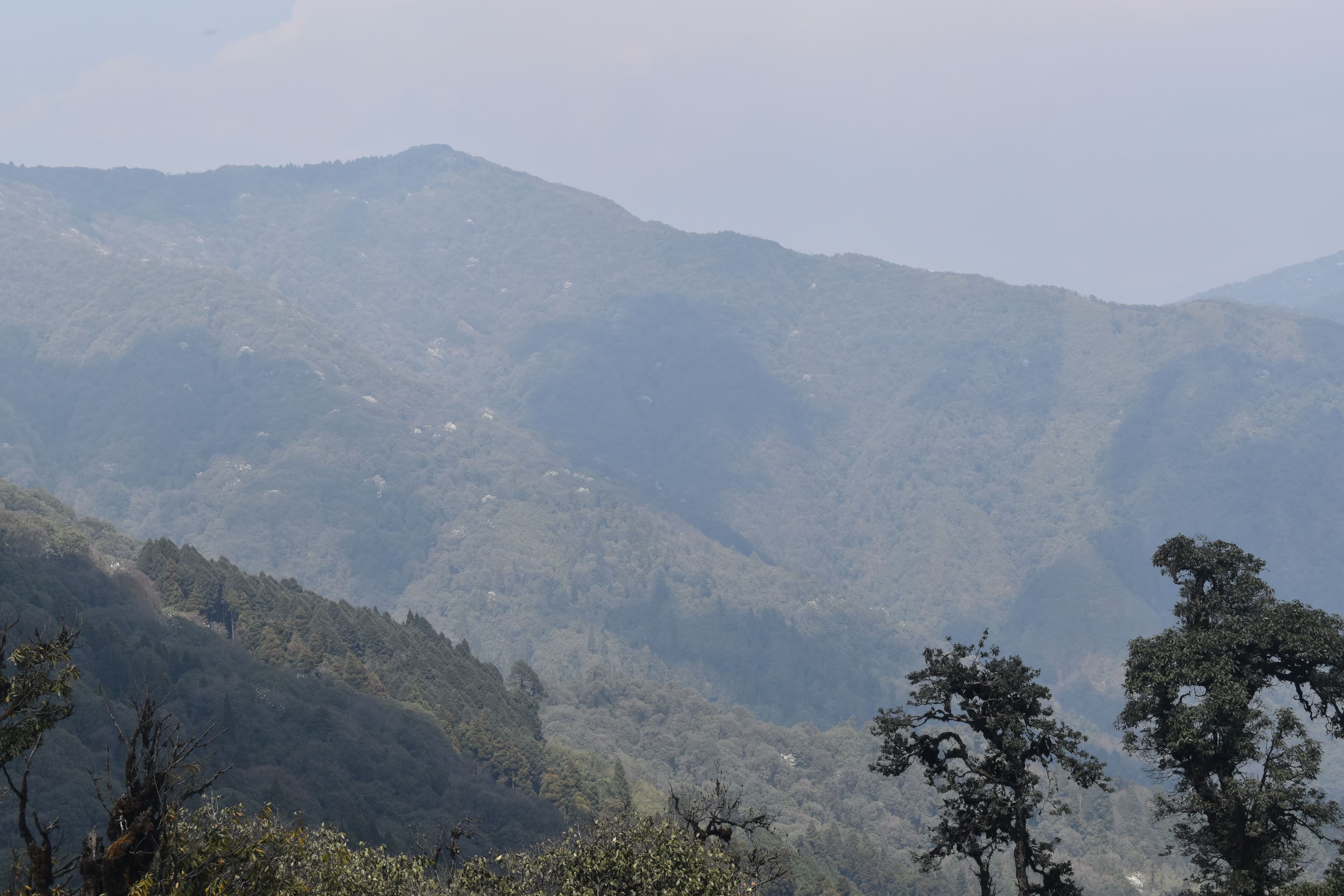 Darjeeling – The Queen of the Hills