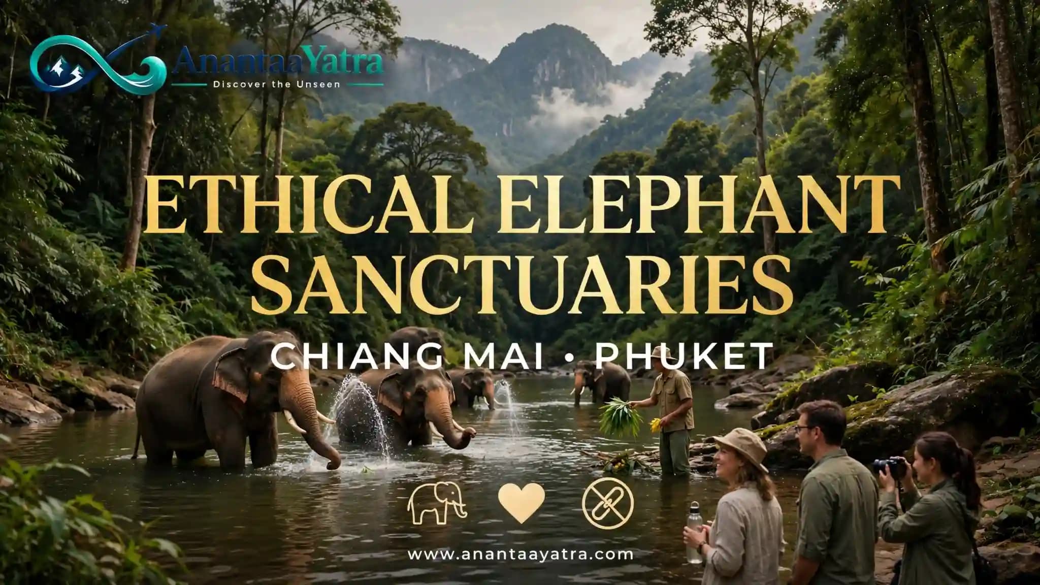 Ethical Elephant Sanctuaries in Chiang Mai & Phuket